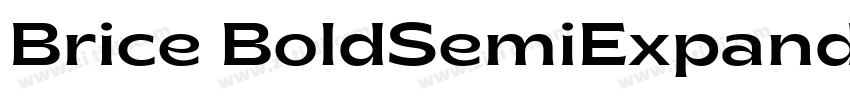 Brice BoldSemiExpand字体转换